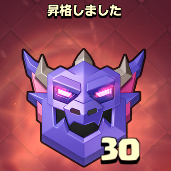 説明用画像